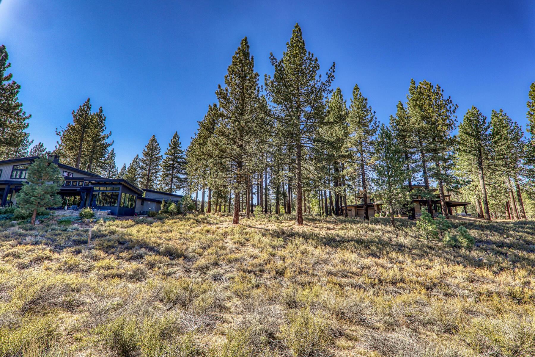 11133 Meek Court Truckee, CA 96161 - Photo 1 of 28 a view of a yard with a tree