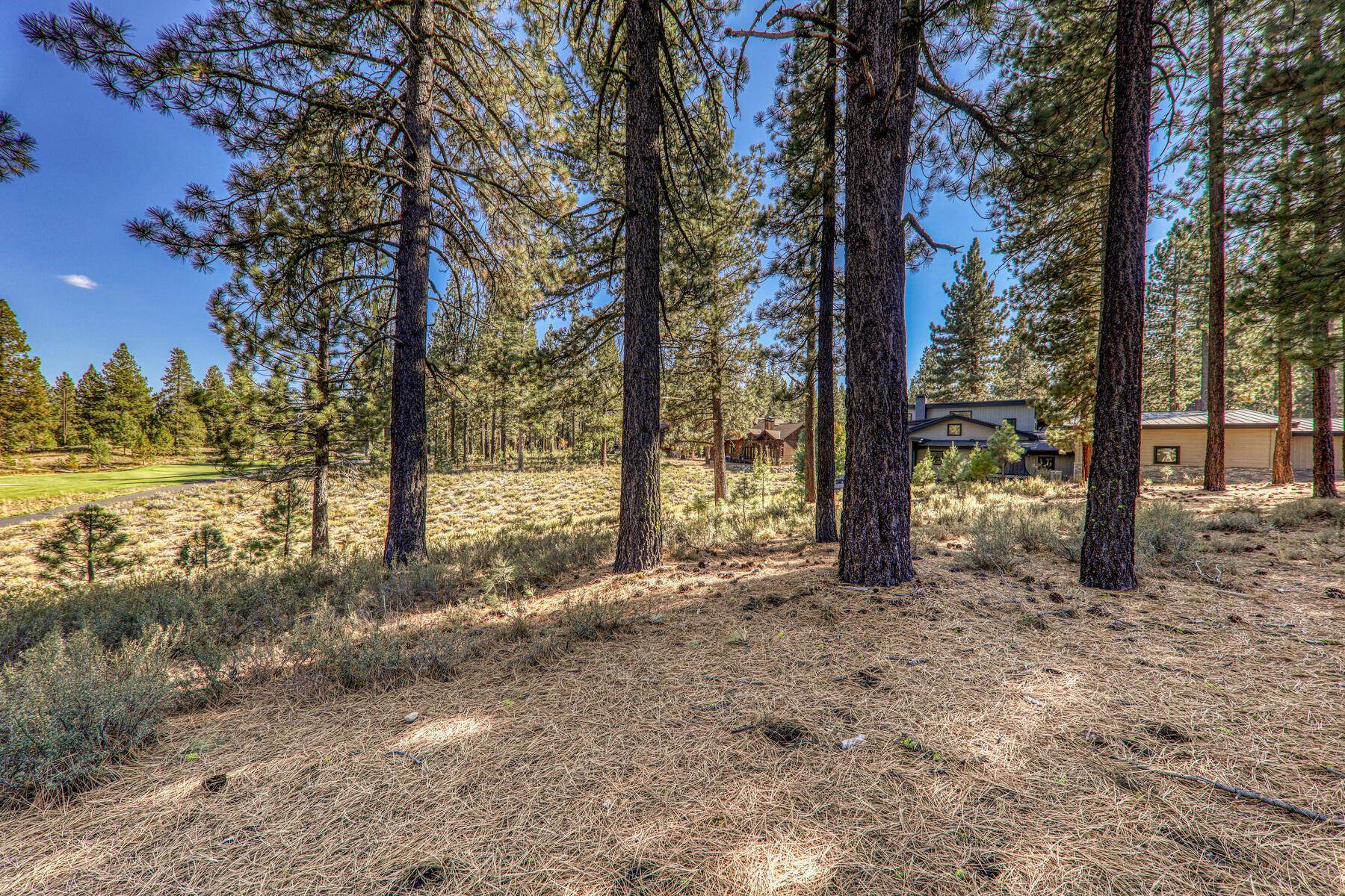11133 Meek Court Truckee, CA 96161 - Photo 11 of 28 a view of a yard with plants and trees
