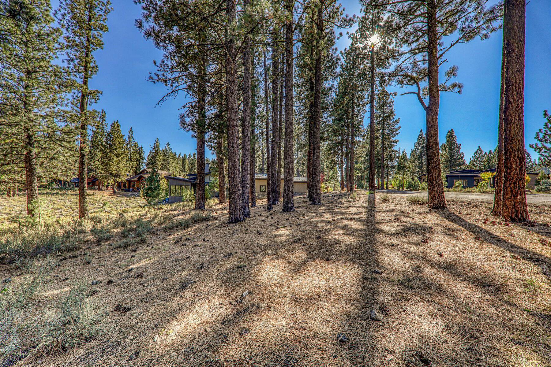 11133 Meek Court Truckee, CA 96161 - Photo 12 of 28 a view of outdoor space with trees