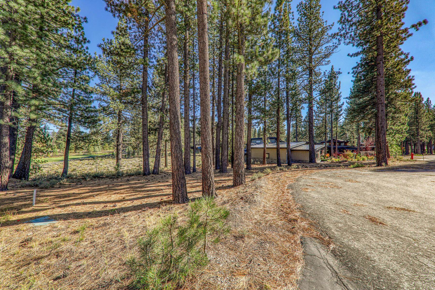 11133 Meek Court Truckee, CA 96161 - Photo 13 of 28 a view of street with trees