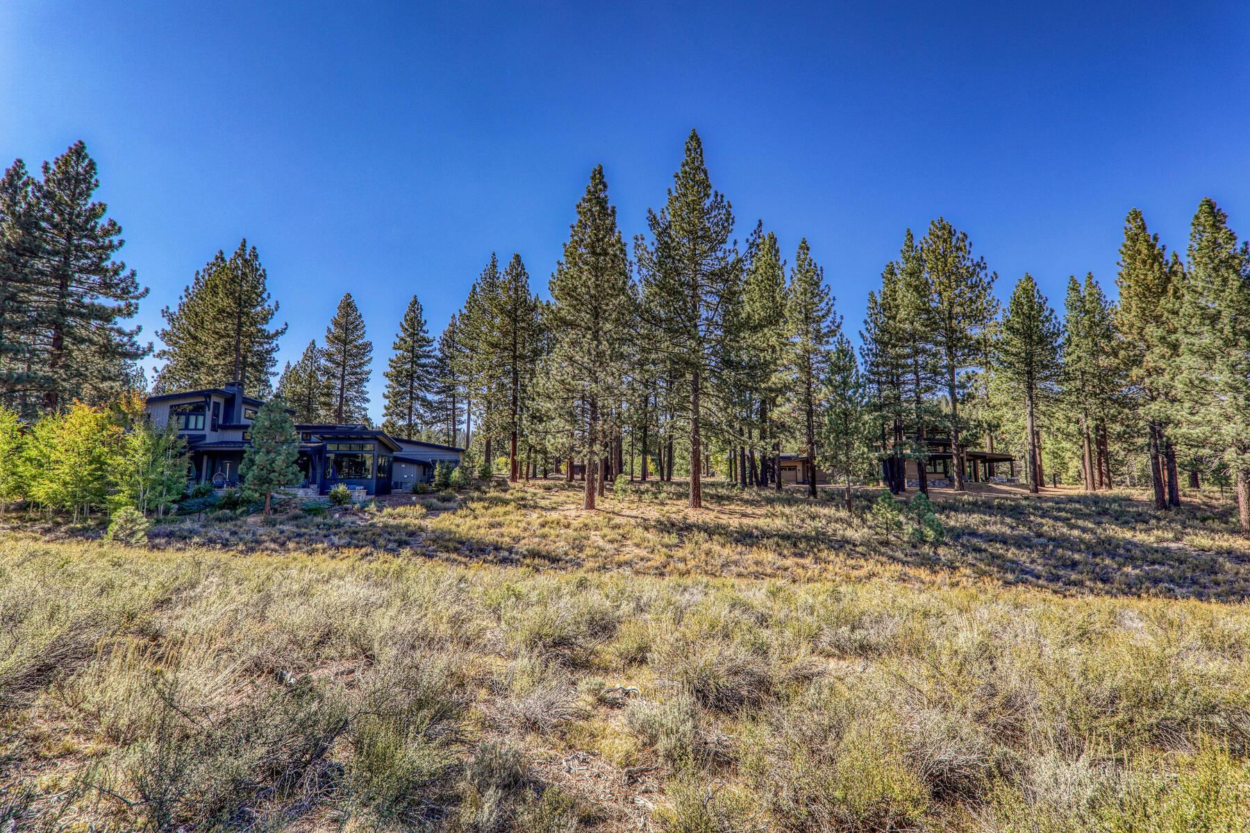 11133 Meek Court Truckee, CA 96161 - Photo 2 of 28 a view of a yard with a tree