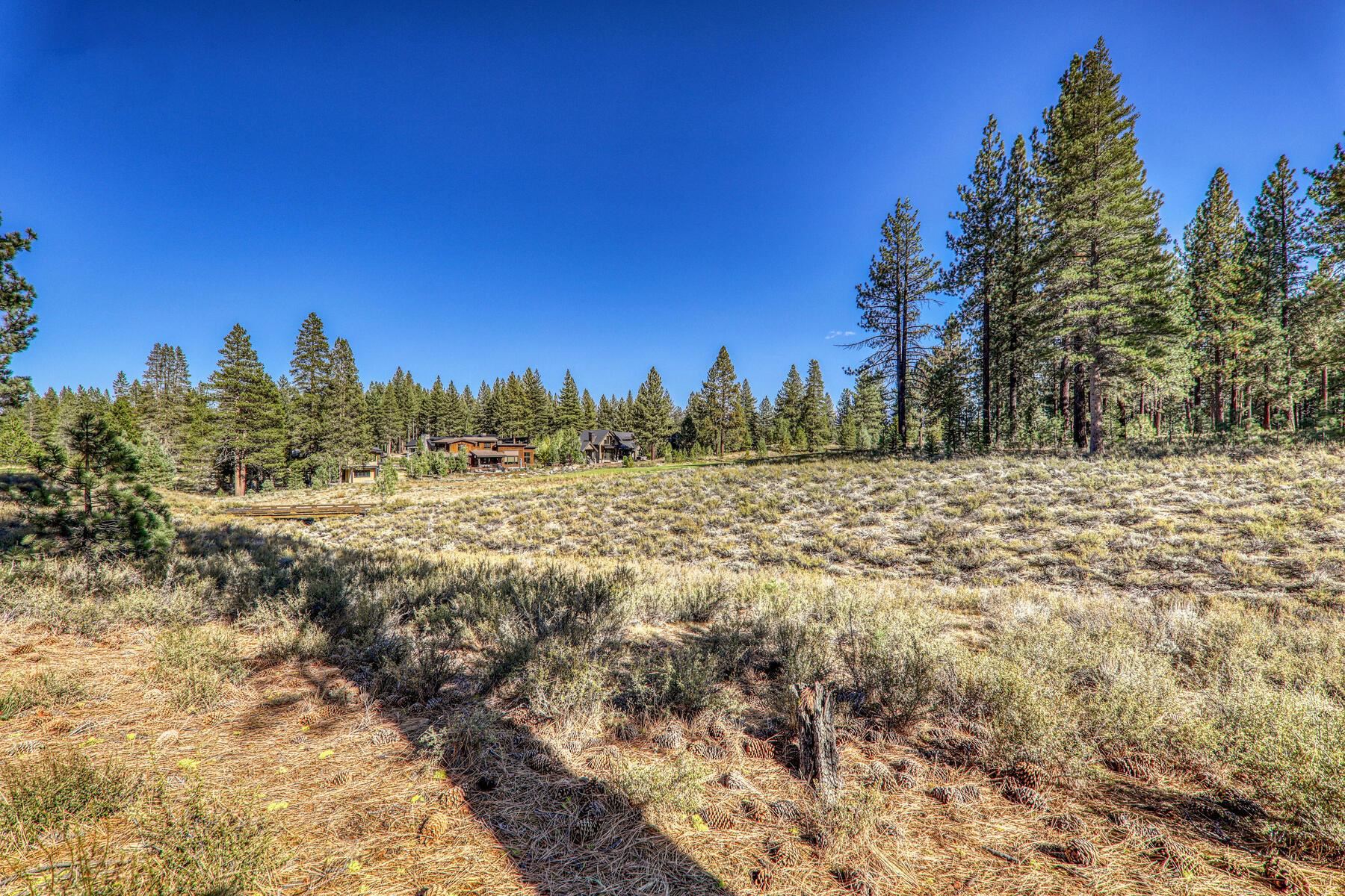11133 Meek Court Truckee, CA 96161 - Photo 4 of 28 a view of a yard with a tree