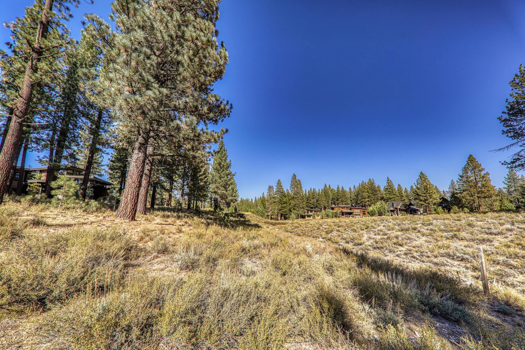 11133 Meek Court Truckee, CA 96161 - Photo 5 of 28 a view of a yard with a tree