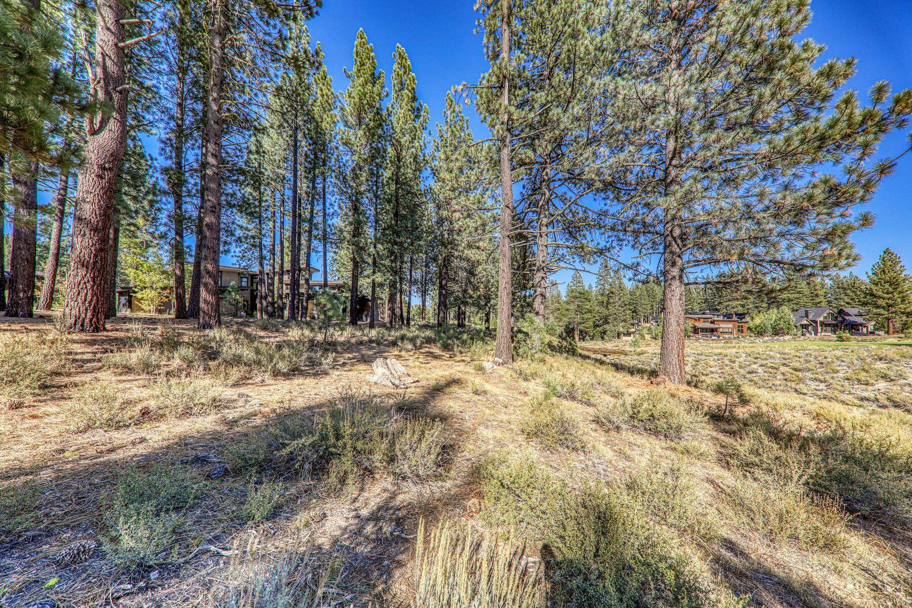 11133 Meek Court Truckee, CA 96161 - Photo 6 of 28 a backyard of a house with a large tree