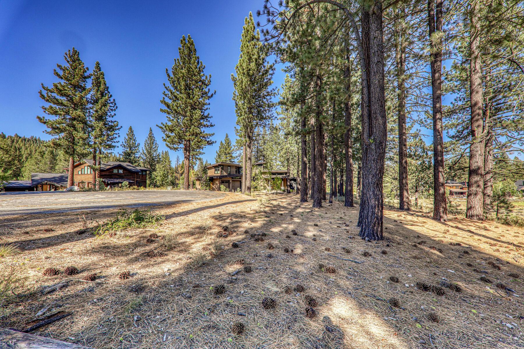 11133 Meek Court Truckee, CA 96161 - Photo 7 of 28 a view of road with trees