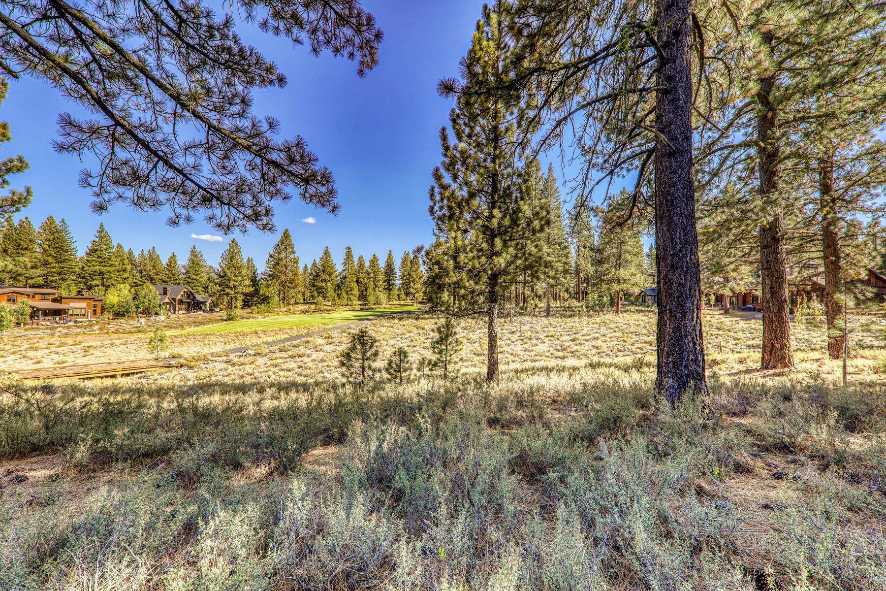 11133 Meek Court Truckee, CA 96161 - Photo 10 of 28 a view of yard with trees