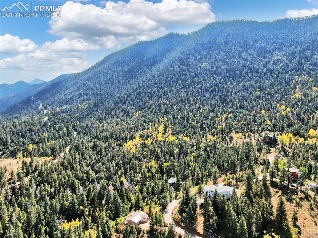 5265 Kulsa Road Cascade, CO 80809 - Photo 5 of 13 Mountain view