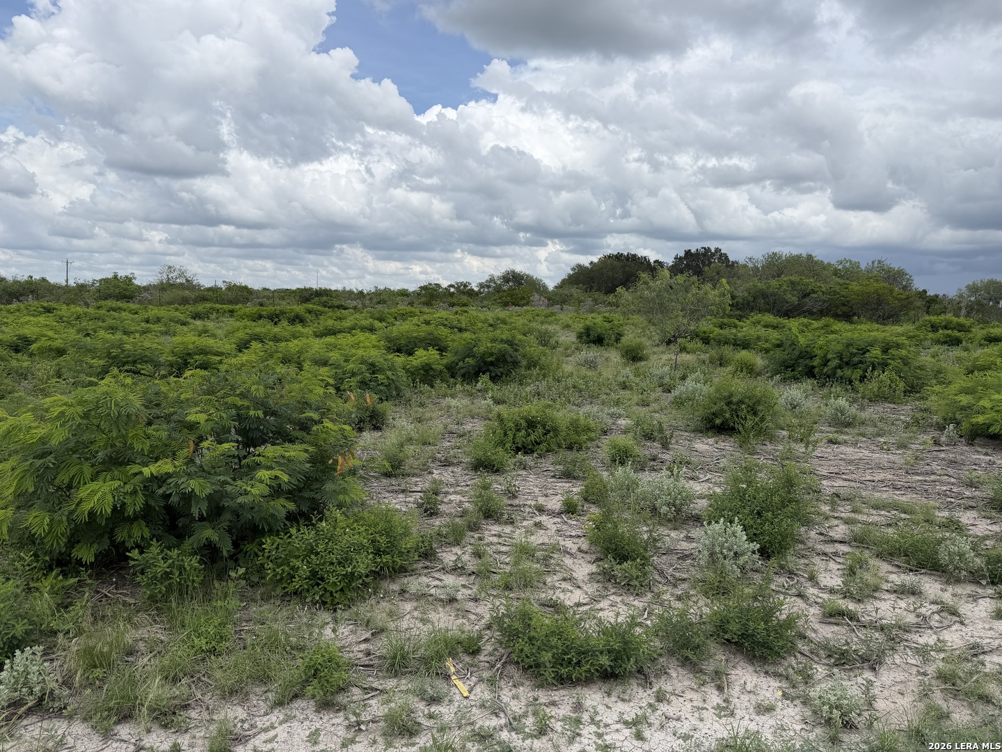 120 Quail Ridge Run Three Rivers, TX 78071 - Photo 3 of 5