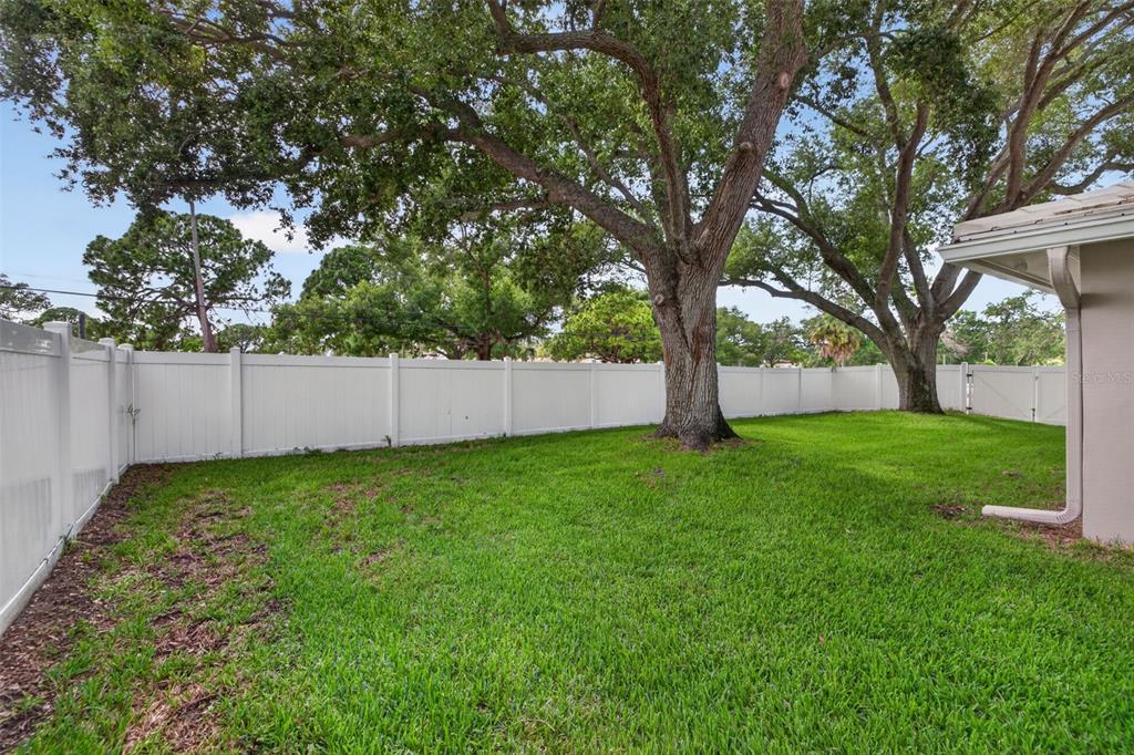 303 Roebling Road South Belleair, FL 33756 - Photo 27 of 33