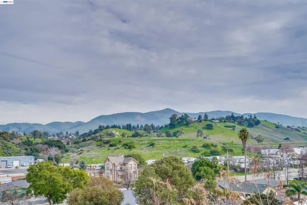 an aerial view of houses covered in trees