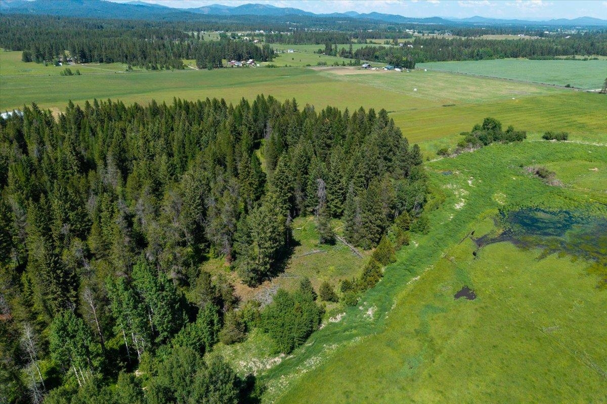 4668 Williams Valley Road Clayton, WA 99110 - Photo 17 of 44