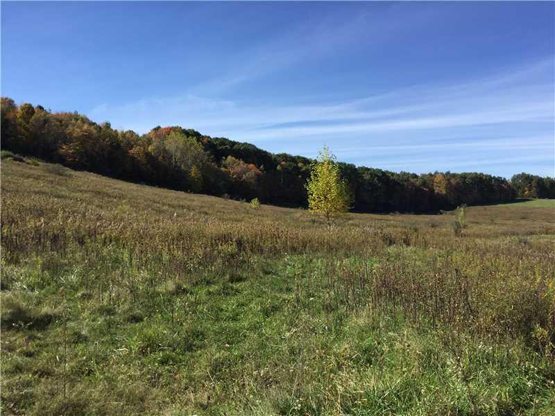 * Ray Road Harrisville, PA 16038 - Photo 1 of 6 Other.