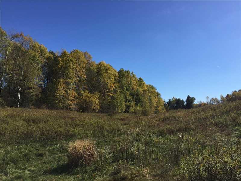 * Ray Road Harrisville, PA 16038 - Photo 3 of 6 Other.