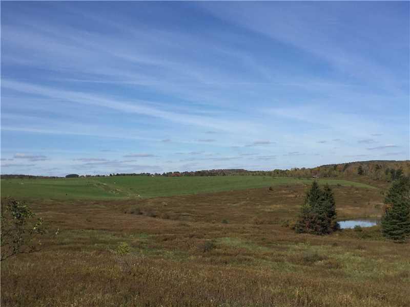 * Ray Road Harrisville, PA 16038 - Photo 4 of 6 View. View of the neighboring land
