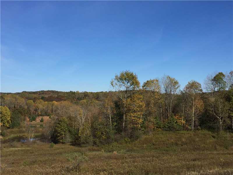 * Ray Road Harrisville, PA 16038 - Photo 5 of 6 View. View of neighboring land