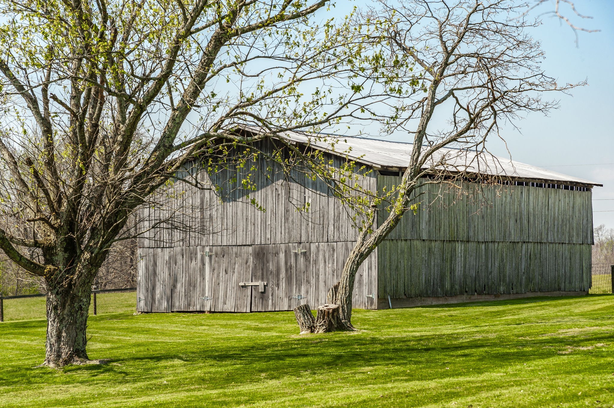 395 Whitson Road Bethpage, TN 37022 - Photo 22 of 100