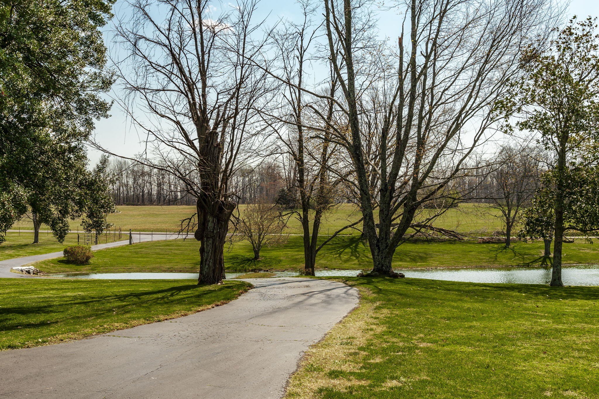 395 Whitson Road Bethpage, TN 37022 - Photo 24 of 100