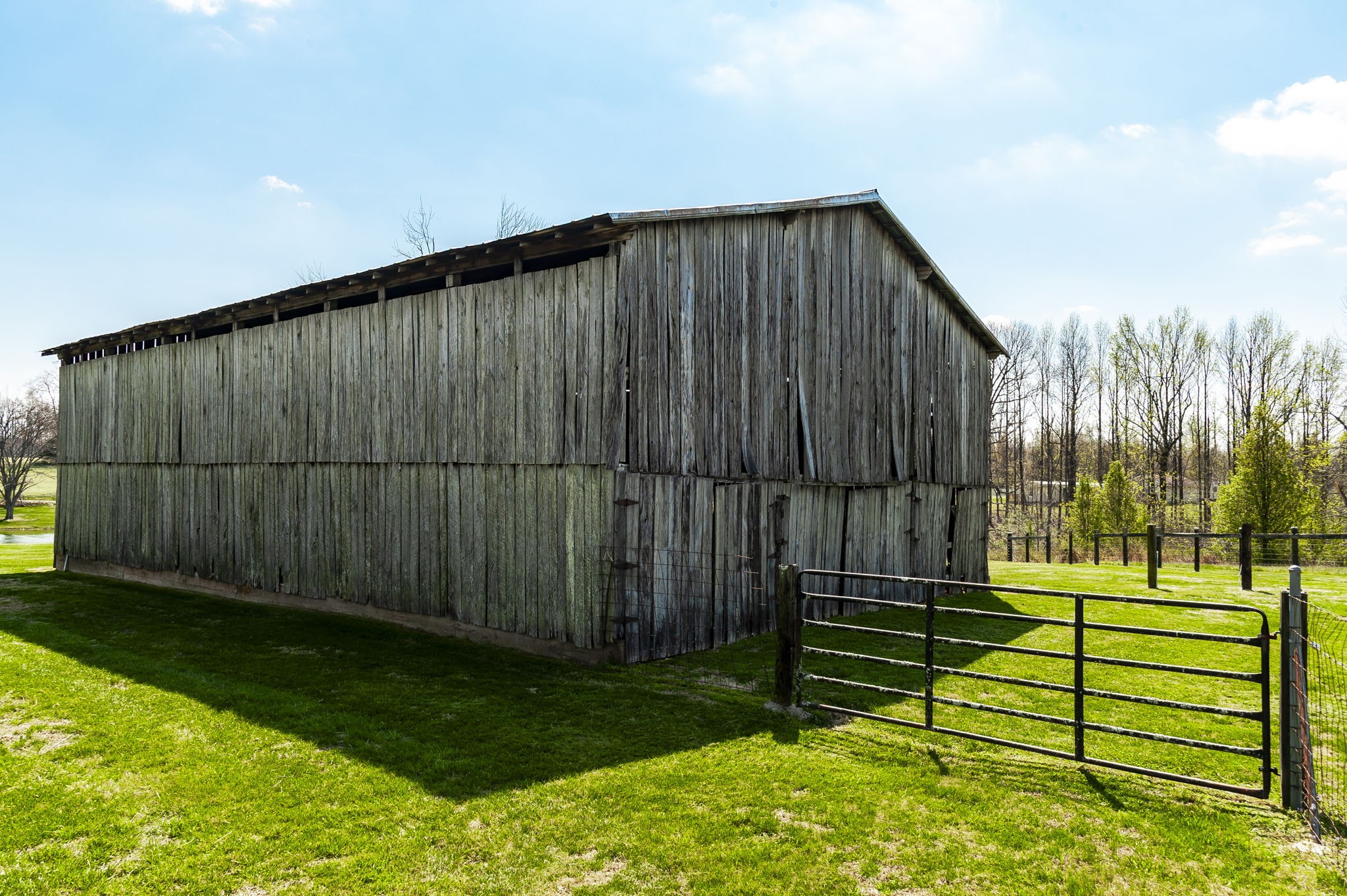 395 Whitson Road Bethpage, TN 37022 - Photo 42 of 100