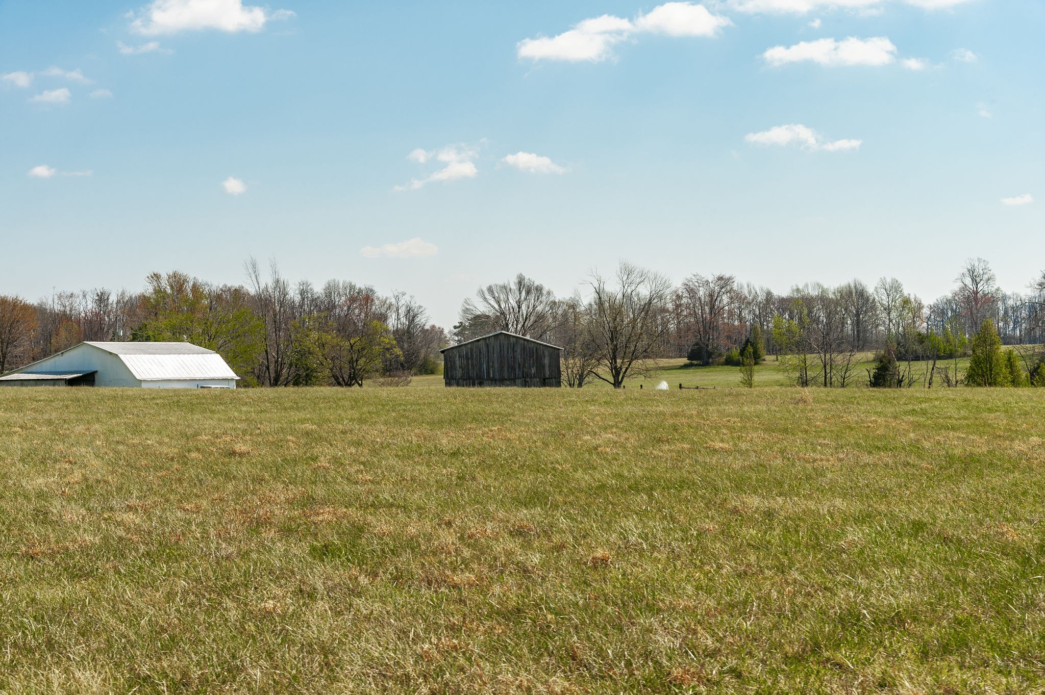 395 Whitson Road Bethpage, TN 37022 - Photo 54 of 100