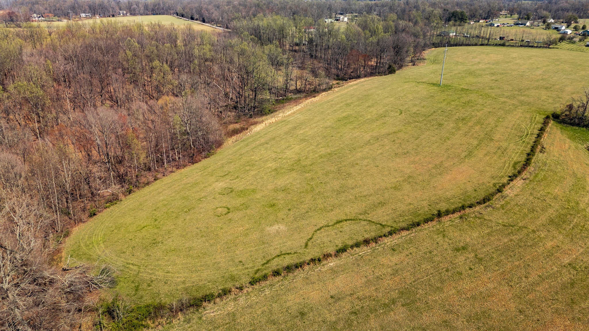 395 Whitson Road Bethpage, TN 37022 - Photo 9 of 100