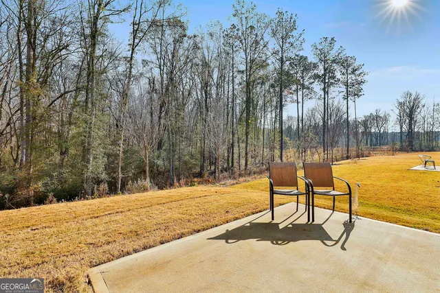 $2,595 | 166 Woodbrook Trail, Newnan, GA 30265