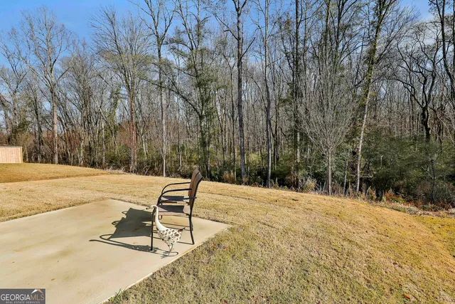 $2,595 | 166 Woodbrook Trail, Newnan, GA 30265