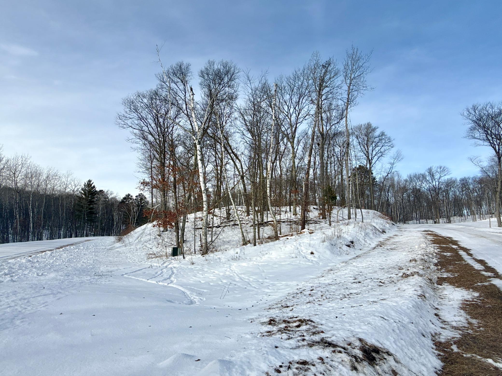 480 Ridgeway Lane Walker, MN 56484 - Photo 3 of 9