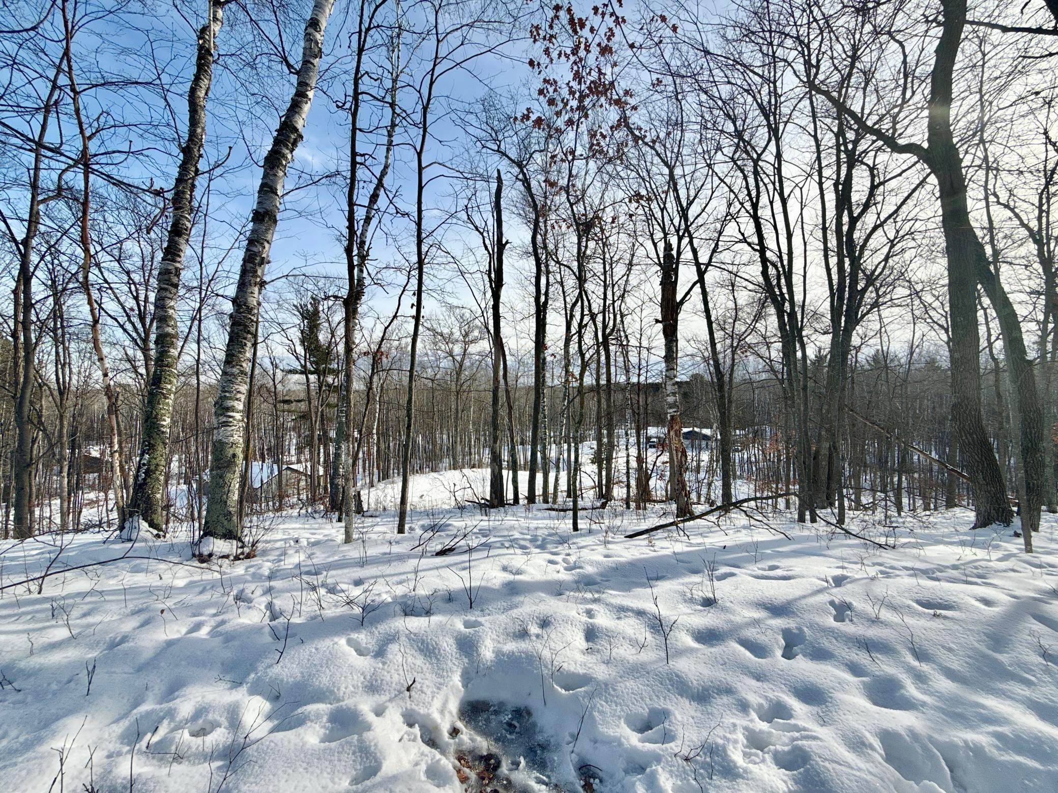 480 Ridgeway Lane Walker, MN 56484 - Photo 8 of 9