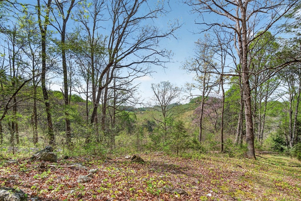 11527 Lindell Road Meadowview, VA 24361 - Photo 48 of 63 Gallery Image 48
