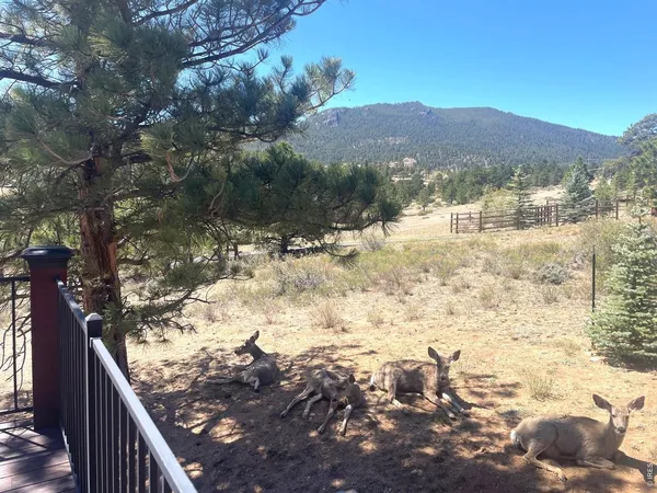$1,250,000 | 285 Indian Trail, Estes Park, CO 80517