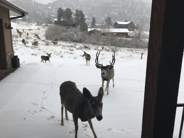 $1,250,000 | 285 Indian Trail, Estes Park, CO 80517