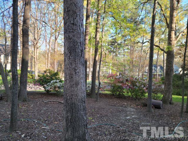 7817 Hardwick Drive Raleigh, NC 27615 - Photo 19 of 23 Gallery Image 19