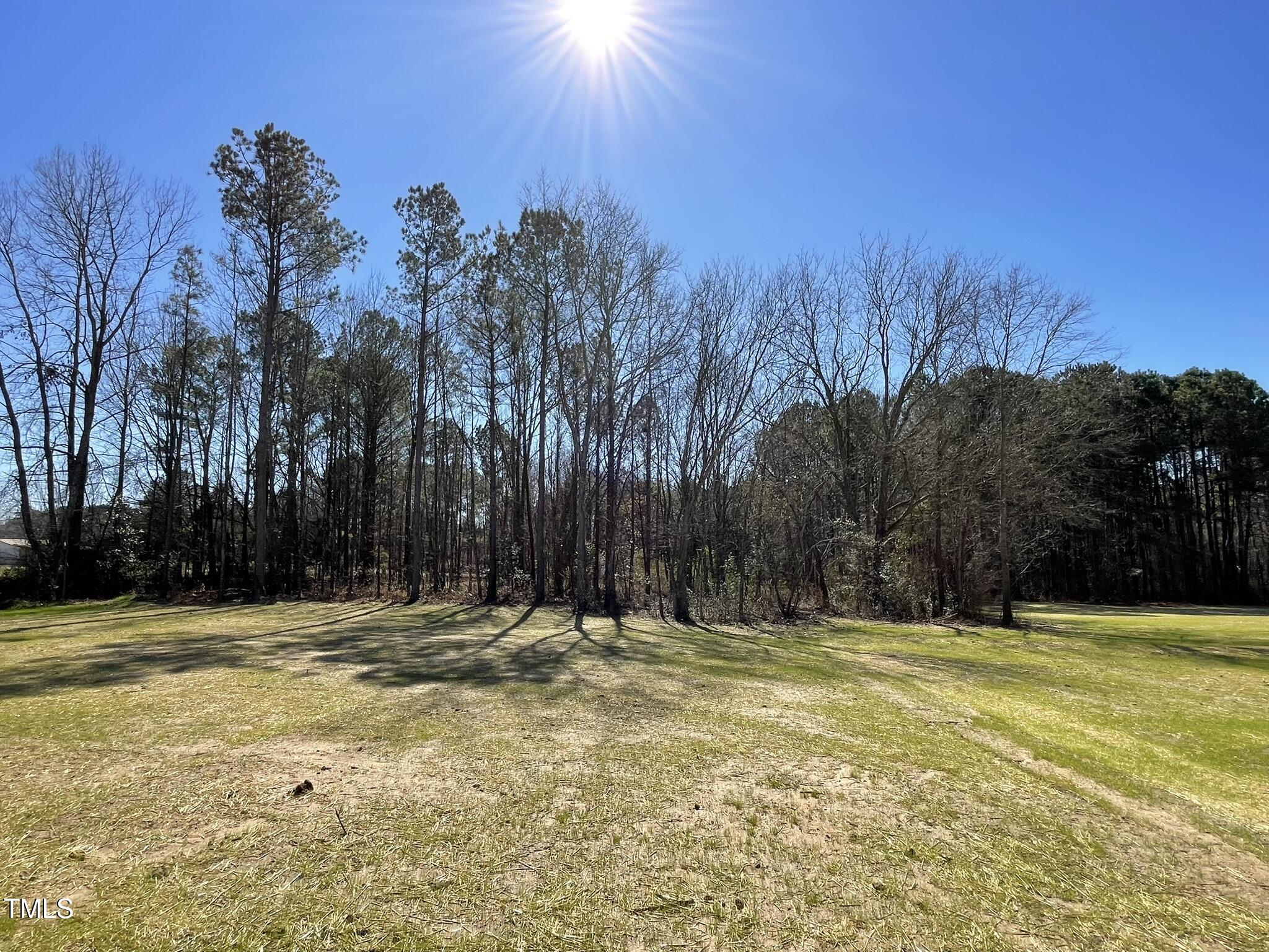 111 Magnolia Run Way Benson, NC 27504 - Photo 17 of 18 a view of outdoor space with trees all around