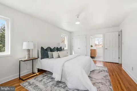 a picture of flowers