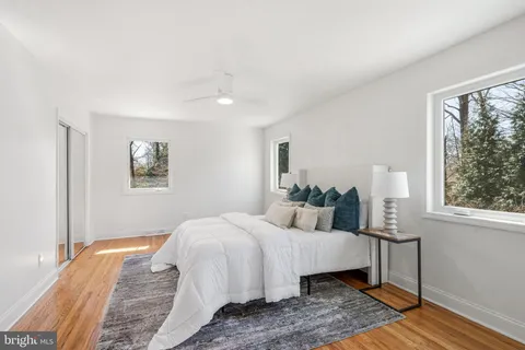 a view of a backyard with large trees