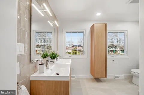 a view of a yard with plants and trees