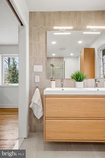 a view of a garden with plants and large trees