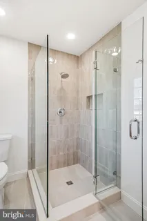 a view of a garden with plants