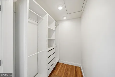 a close up of a flower in a garden