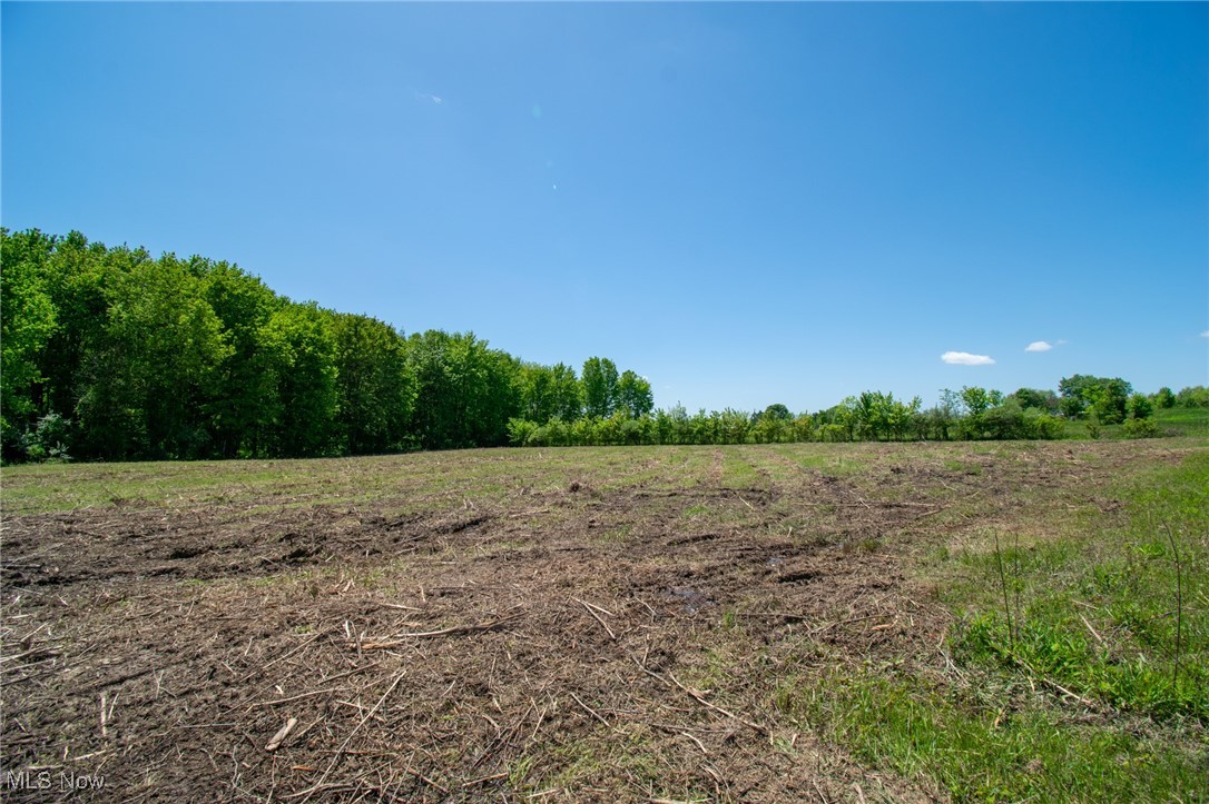 Erwin Road Jackson, OH 45640 - Photo 13 of 18 Gallery Image 13