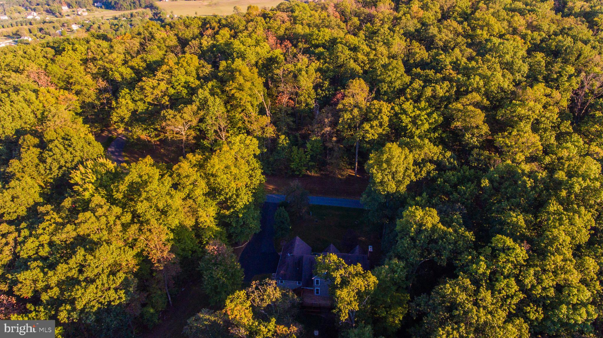335 Signal Ridge Lane Winchester, VA 22603 - Photo 80 of 101 Gallery Image 80