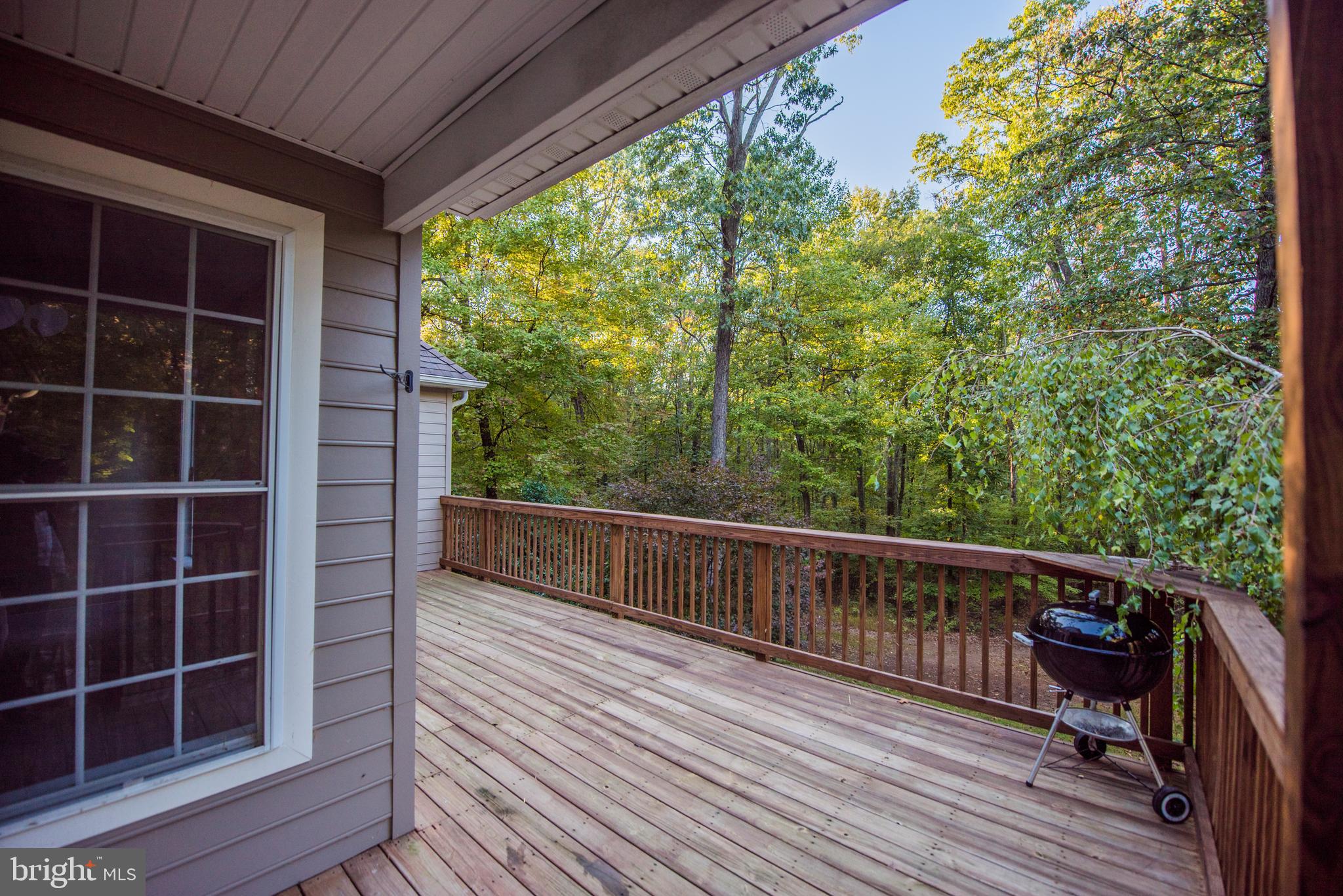 335 Signal Ridge Lane Winchester, VA 22603 - Photo 89 of 101 Gallery Image 89