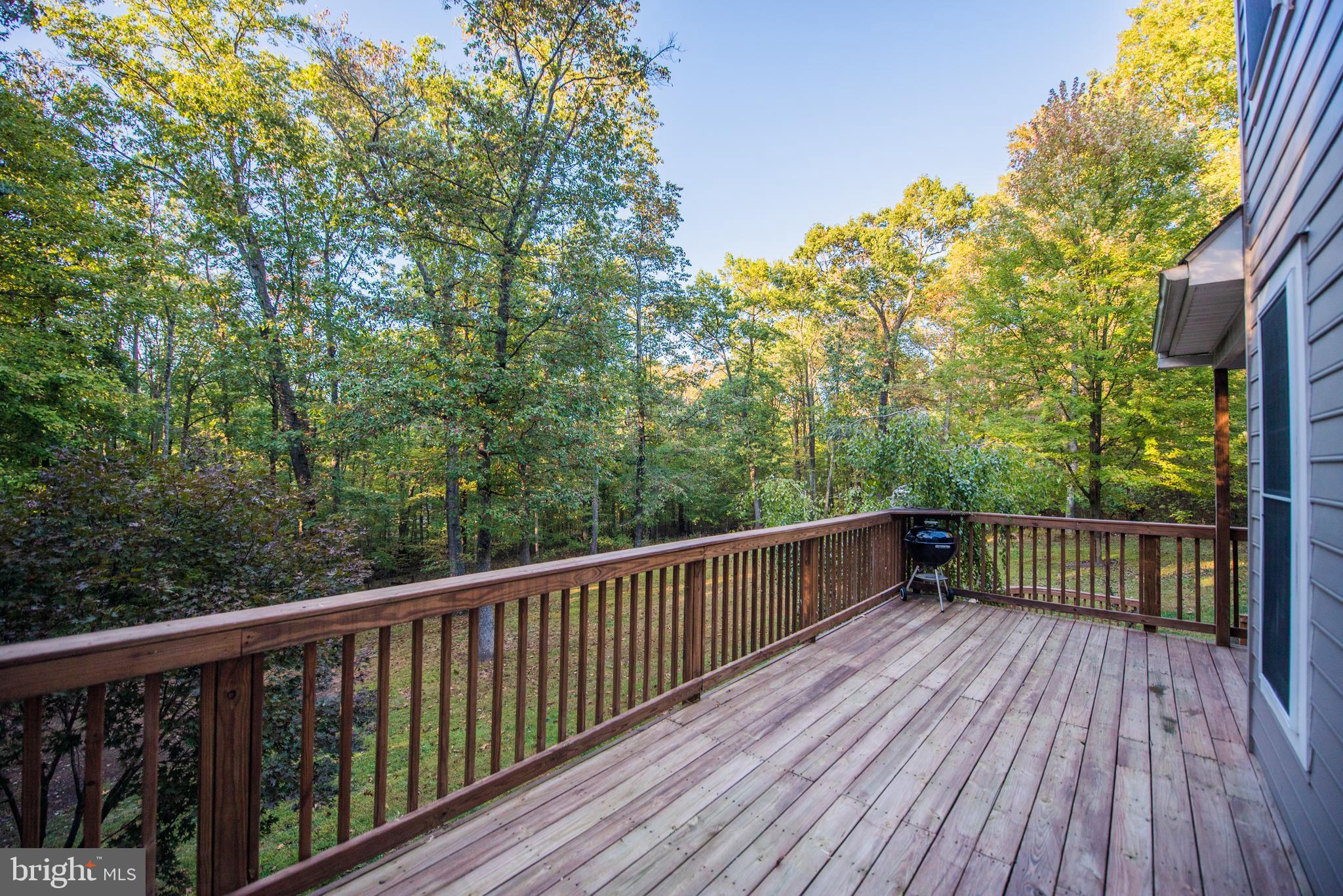 335 Signal Ridge Lane Winchester, VA 22603 - Photo 91 of 101 Gallery Image 91