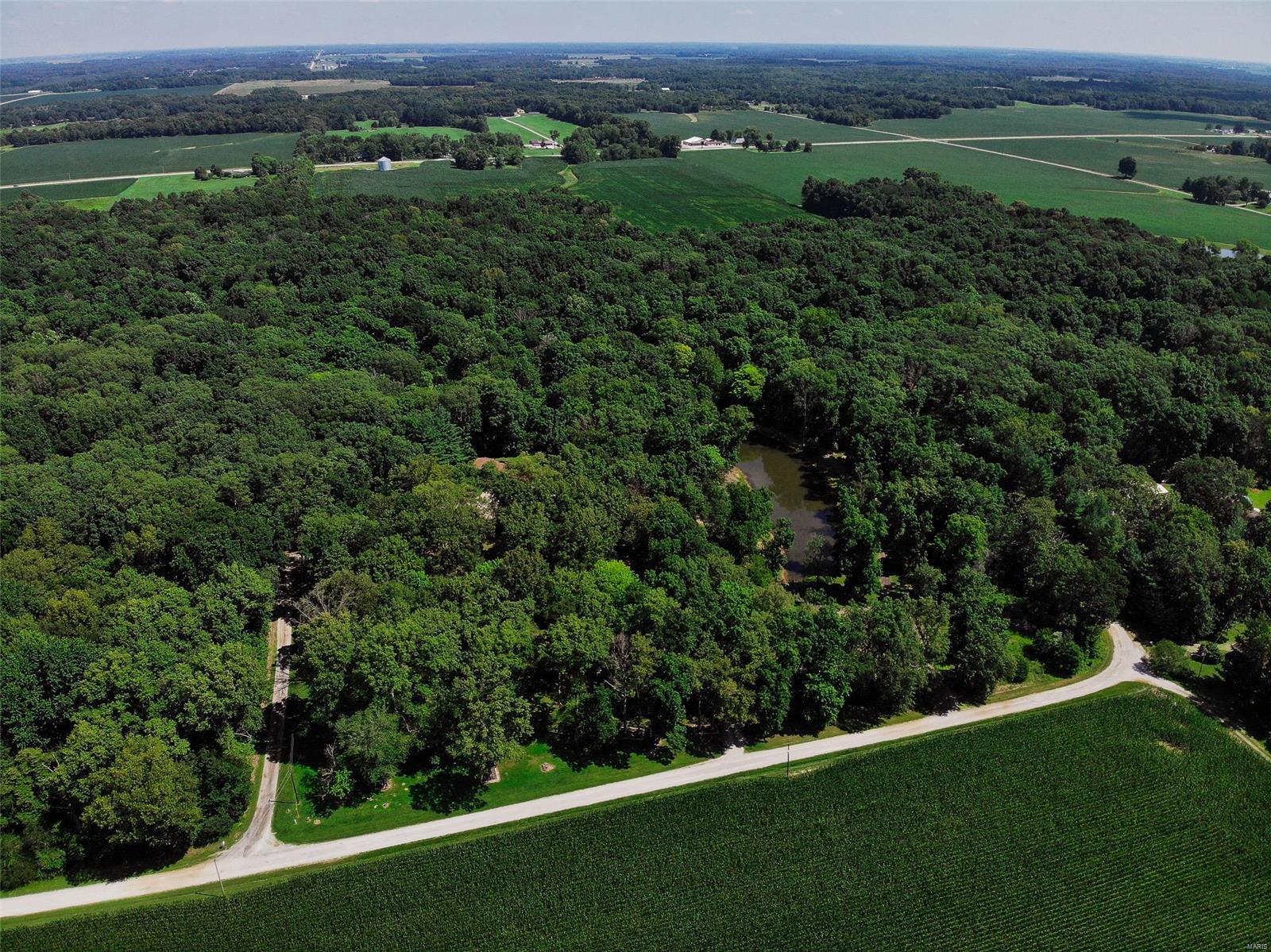 701 Deer Path Road Iuka, IL 62849 - Photo 6 of 28