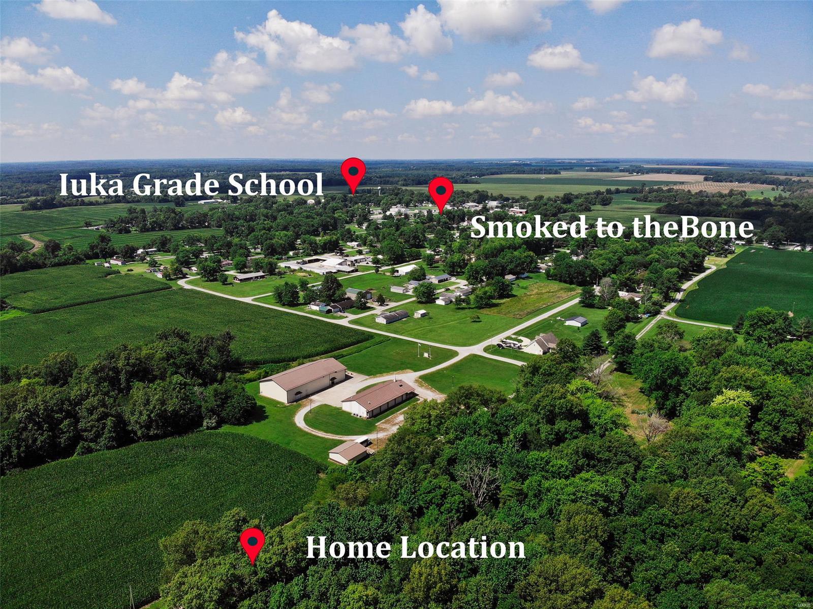 701 Deer Path Road Iuka, IL 62849 - Photo 8 of 28