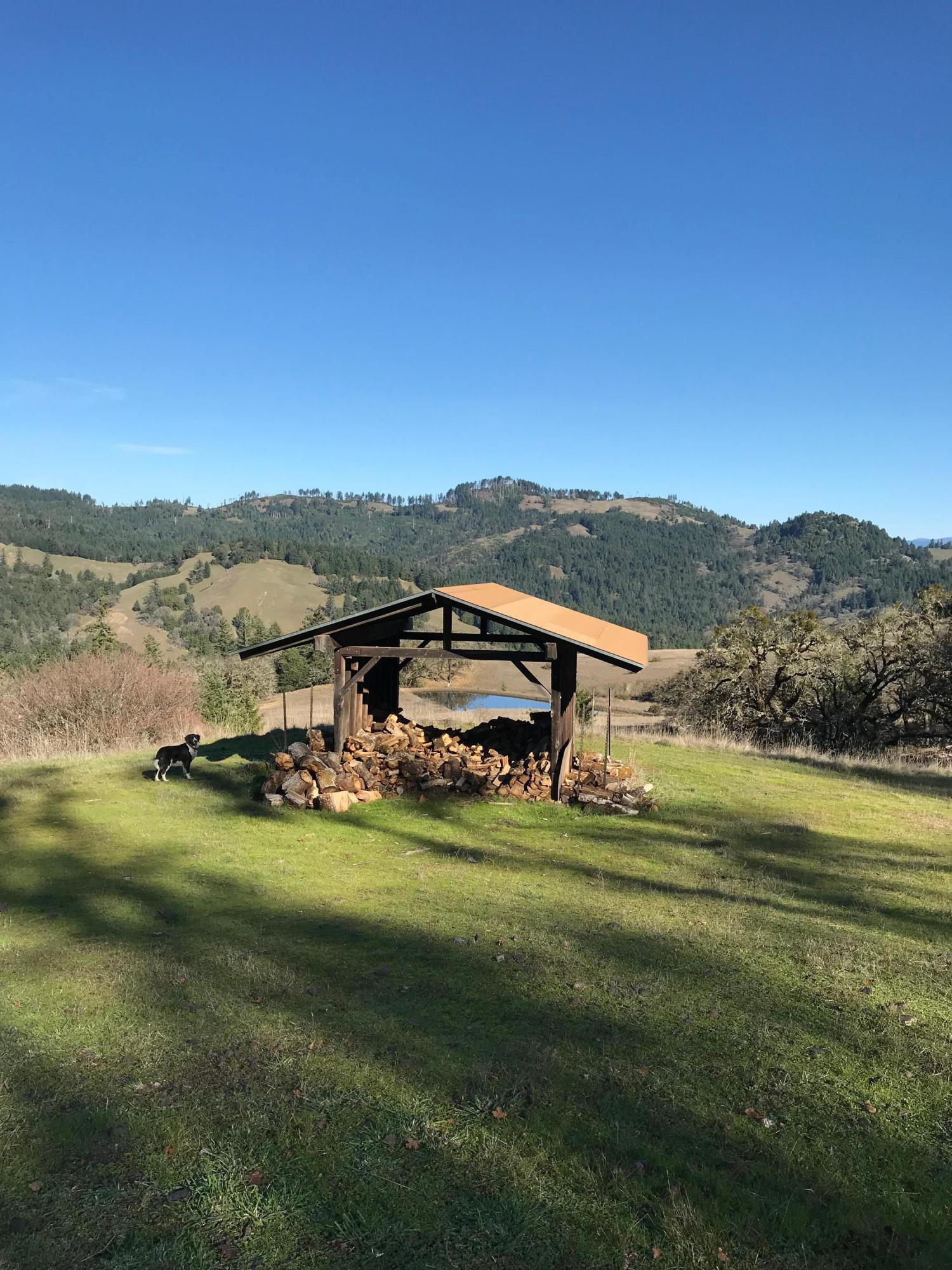 Horse Shelter