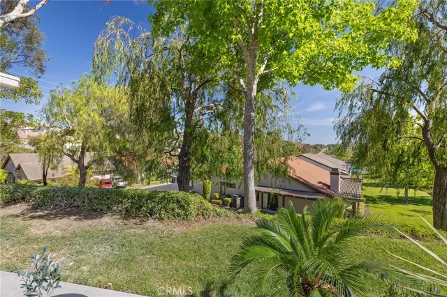 a view of a yard with a tree