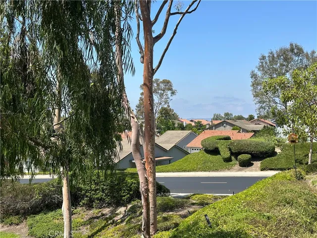 a front view of a house with a yard and potted plants