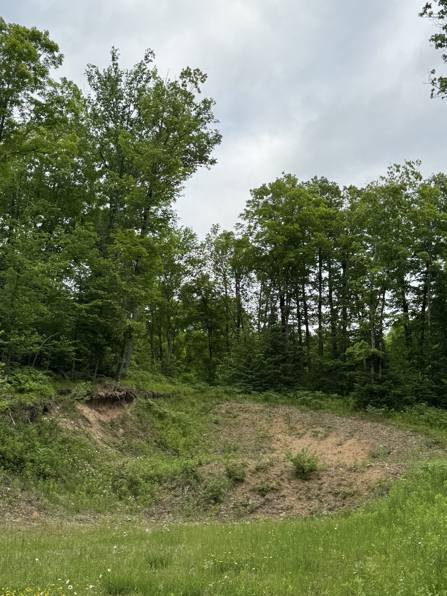 75134 West Road Butternut, WI 54514 - Photo 12 of 35