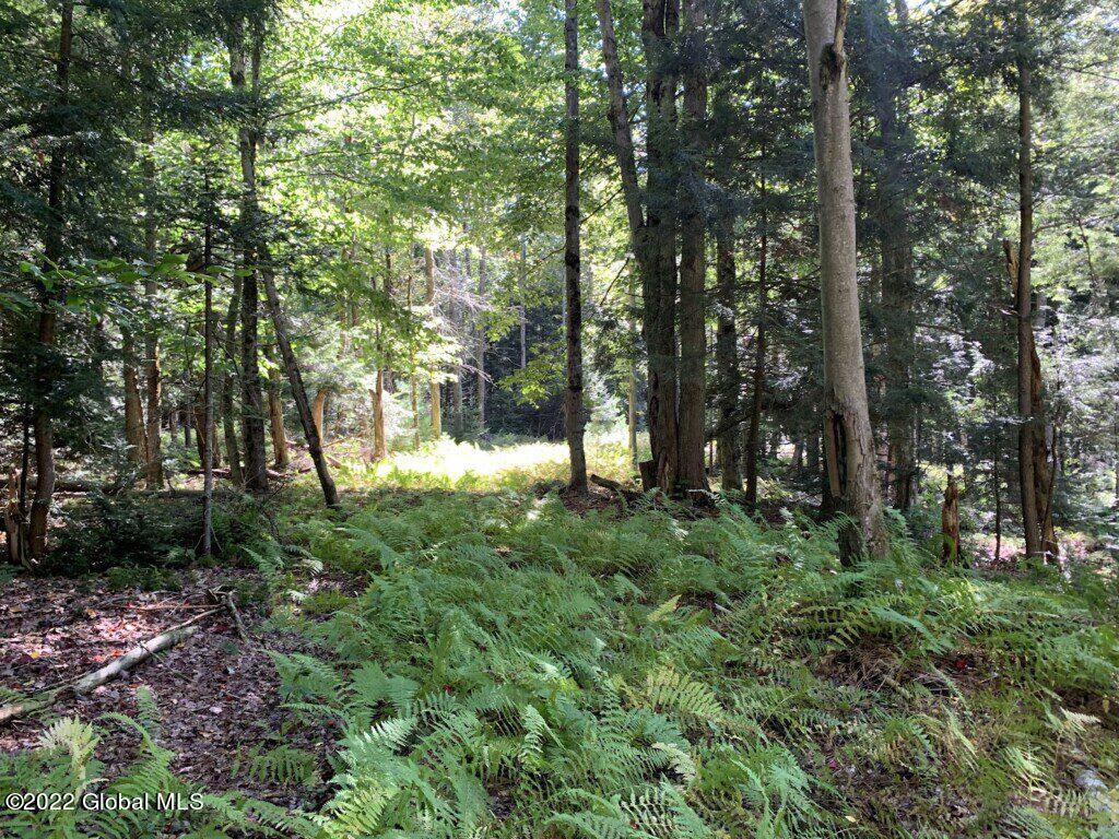 0 Wileytown Road Middle Grove, NY 12850 - Photo 16 of 30 16